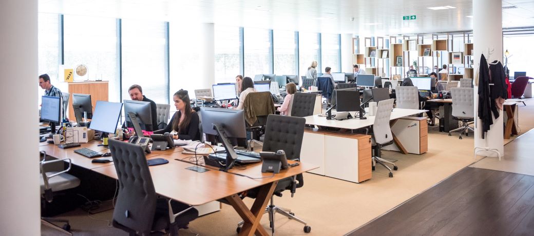 Bullying in the Tech Industry: How Managers Can Create a Positive Workspace 